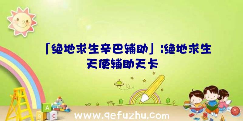 「绝地求生辛巴辅助」|绝地求生天使辅助天卡